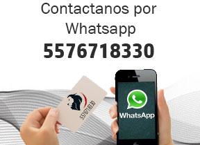 contacto whatsapp